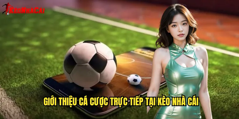 Giới Thiệu Cá Cược Trực Tiếp Tại Kèo Nhà Cái