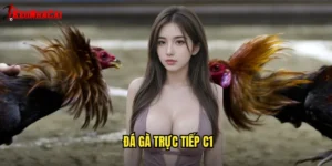 đá gà trực tiếp C1