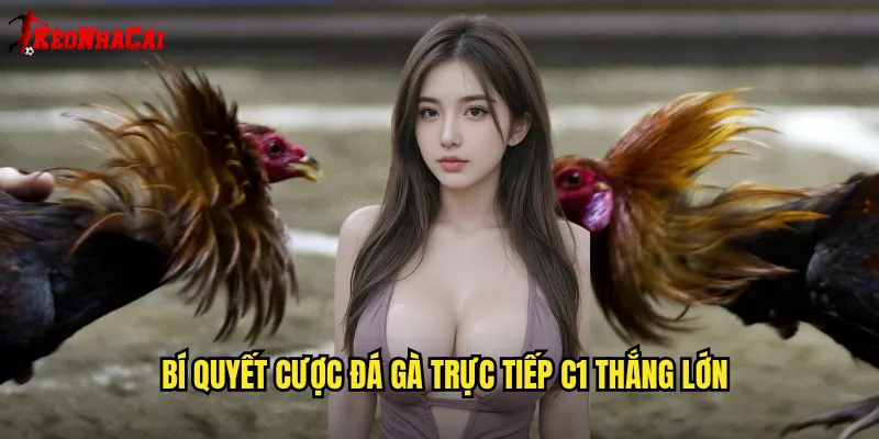 Bí quyết cược đá gà trực tiếp C1 thắng lớn