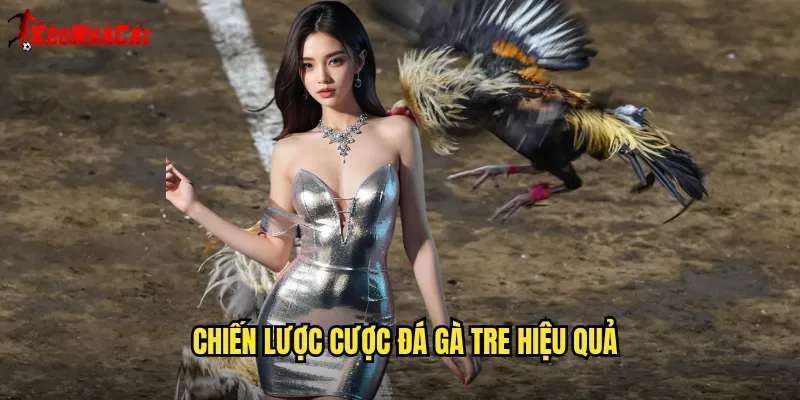 Chiến lược cược đá gà tre hiệu quả