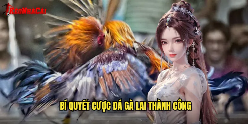 Bí quyết cược đá gà lai thành công