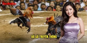 đá gà truyền thống