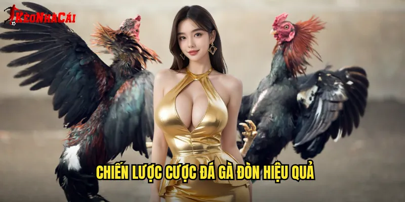 Chiến lược cược đá gà đòn hiệu quả