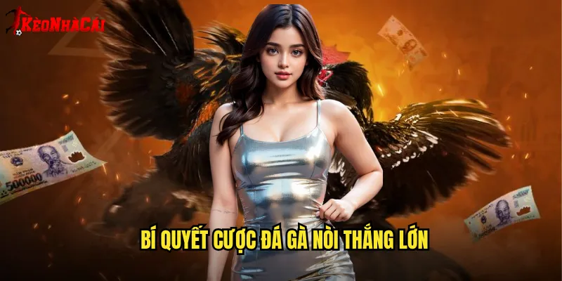Bí quyết cược đá gà nòi thắng lớn