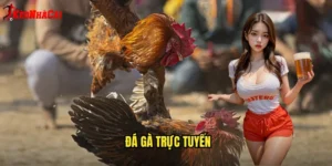 đá gà trực tuyến