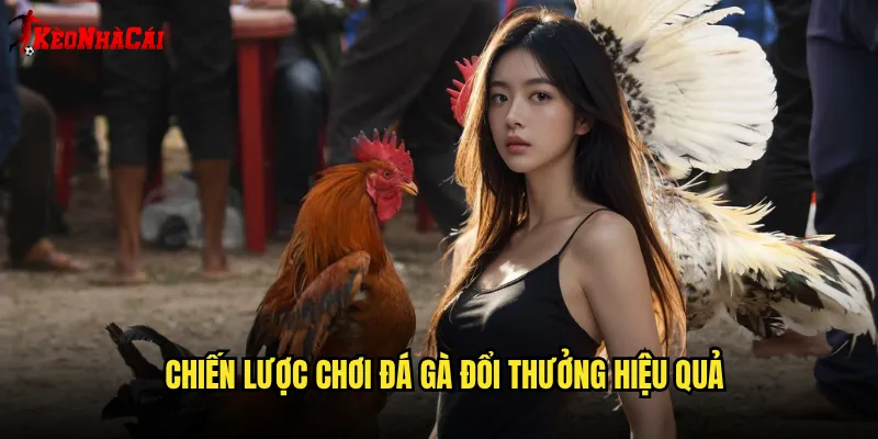 Chiến lược chơi đá gà đổi thưởng hiệu quả