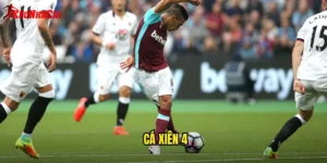 Cá Xiên 4