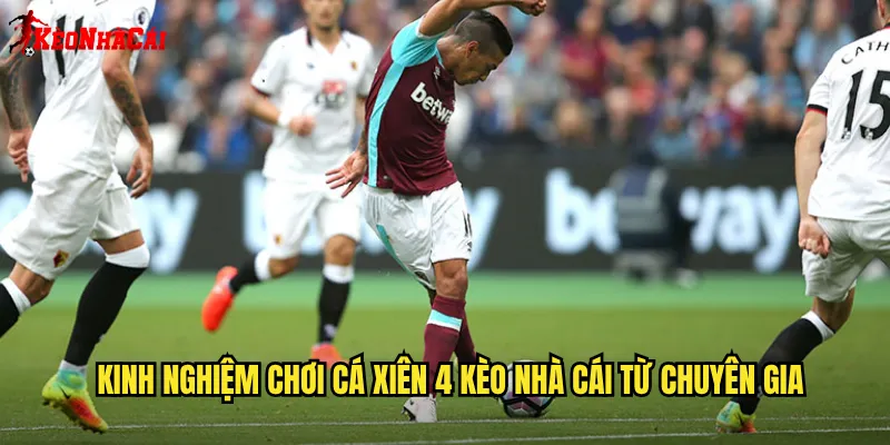 Kinh Nghiệm Chơi Cá Xiên 4 Kèo Nhà Cái Từ Chuyên Gia
