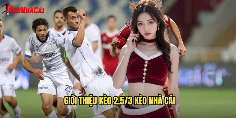 Giới thiệu kèo 2.5/3 Kèo nhà cái